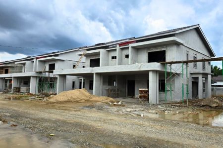 Manjung Lekir
